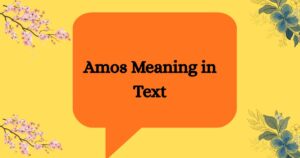 Amos Meaning in Text