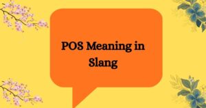 POS Meaning Slang