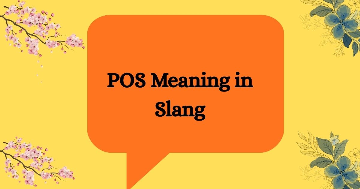 POS Meaning Slang